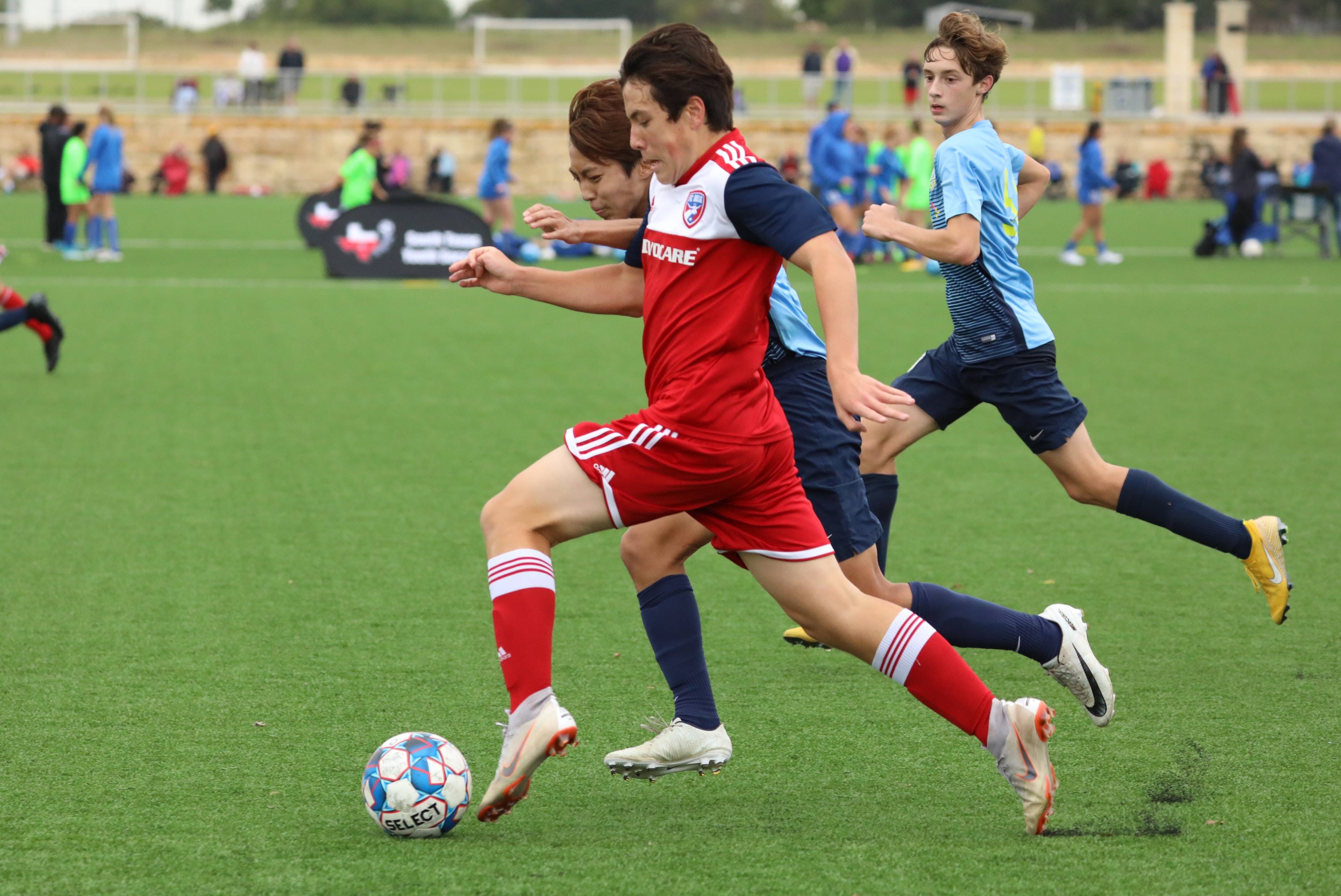 了压倒性的 了压倒性的