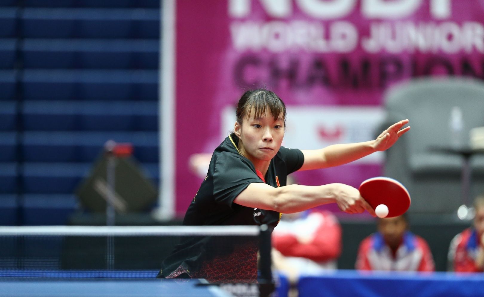 自温柔和善 自温柔和善